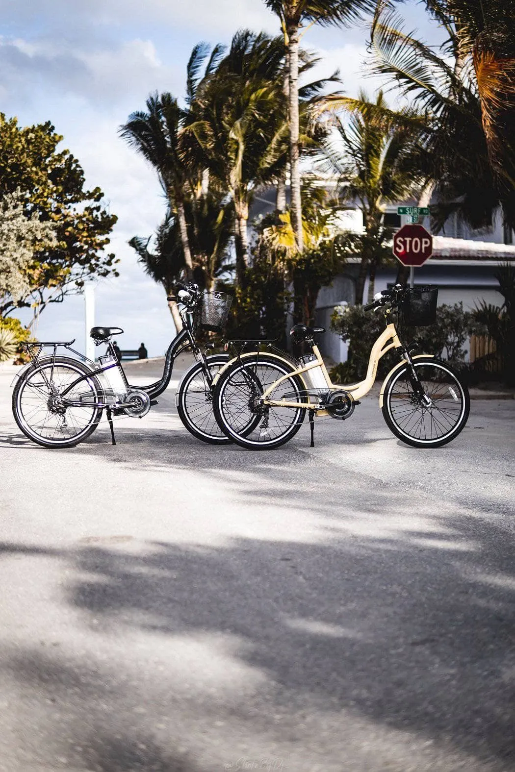 American Electric Veller 2022 Step Through Beach Cruiser (36V 350w)