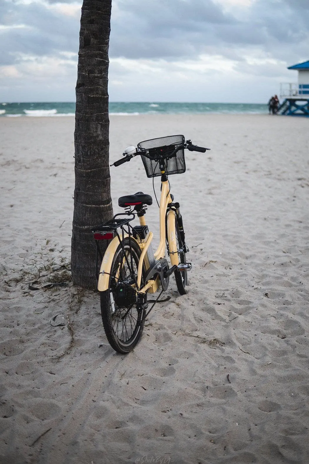 American Electric Veller 2022 Step Through Beach Cruiser (36V 350w)