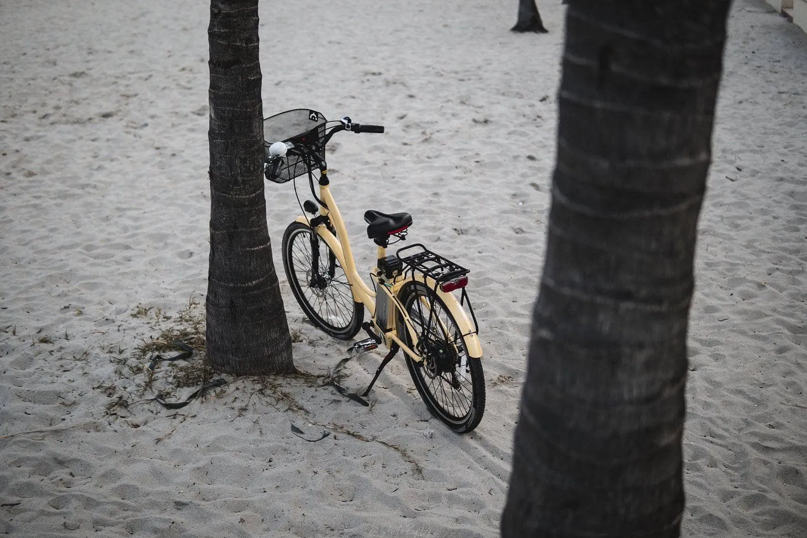 American Electric Veller 2022 Step Through Beach Cruiser (36V 350w)