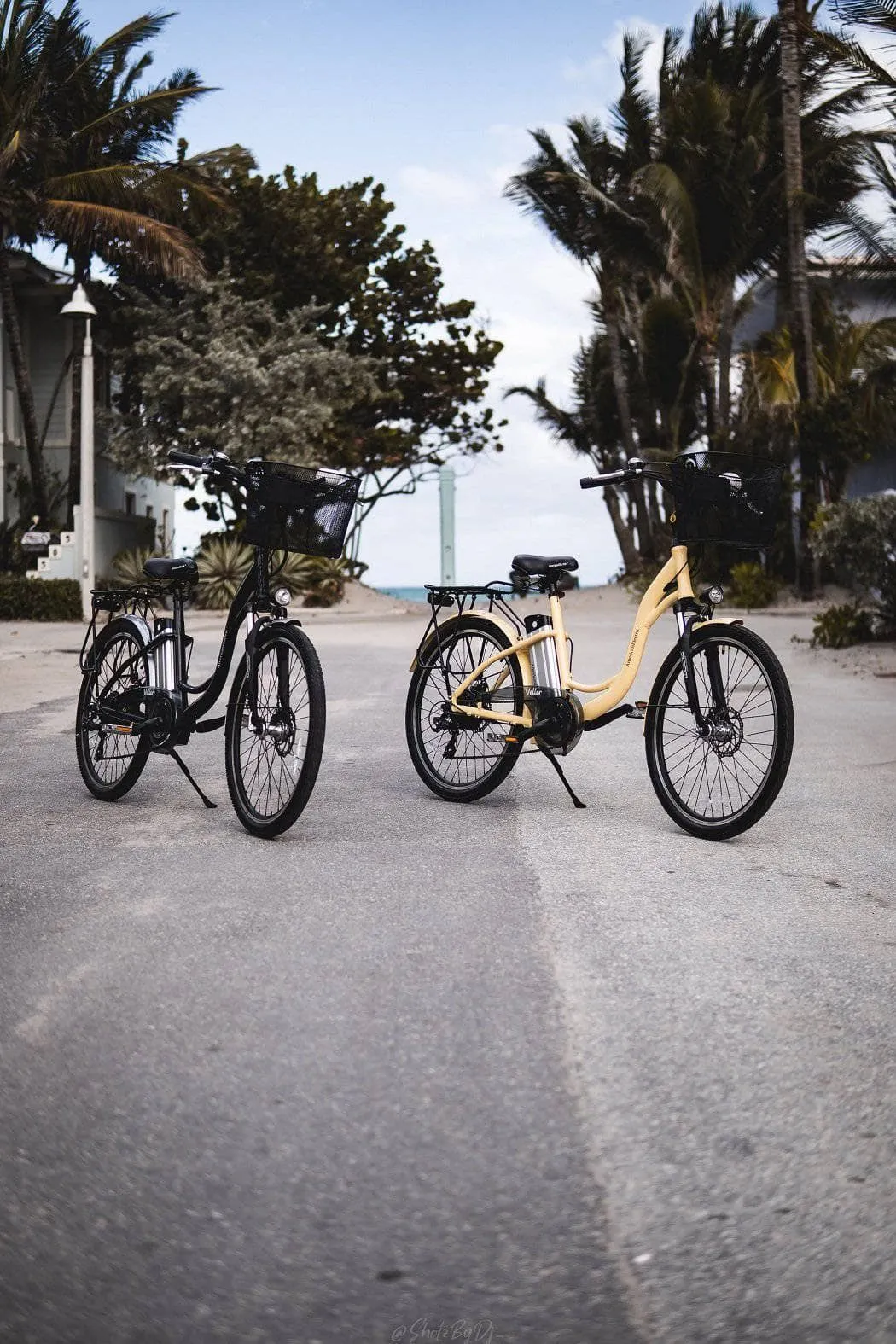 American Electric Veller 2022 Step Through Beach Cruiser (36V 350w)