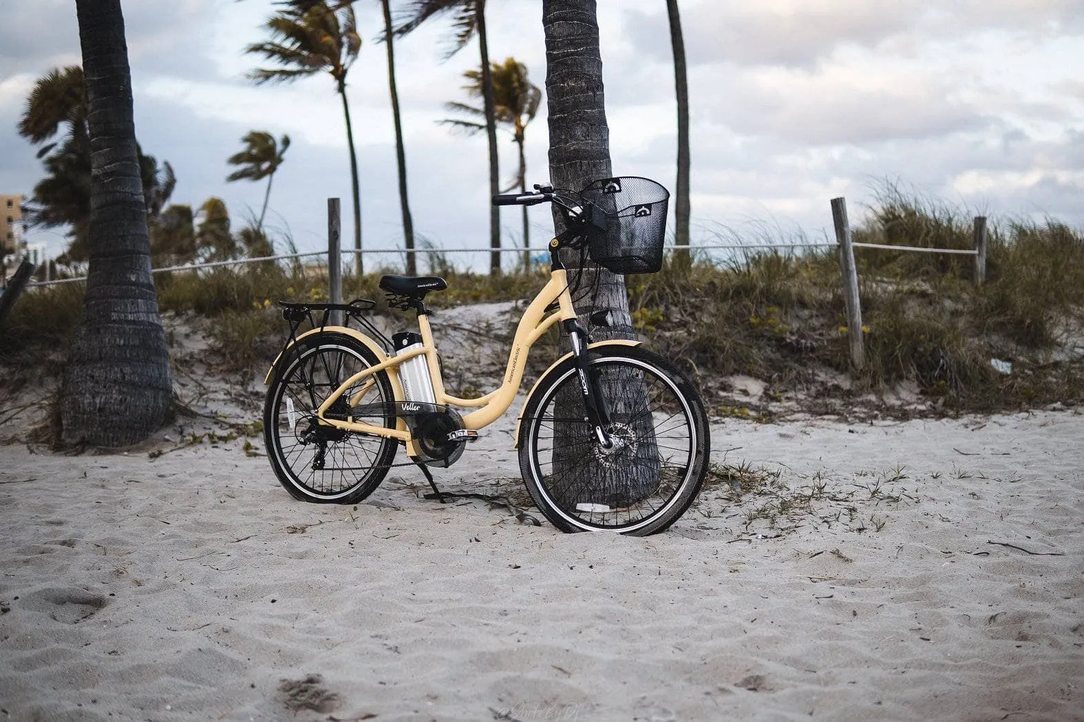 American Electric Veller 2022 Step Through Beach Cruiser (36V 350w)