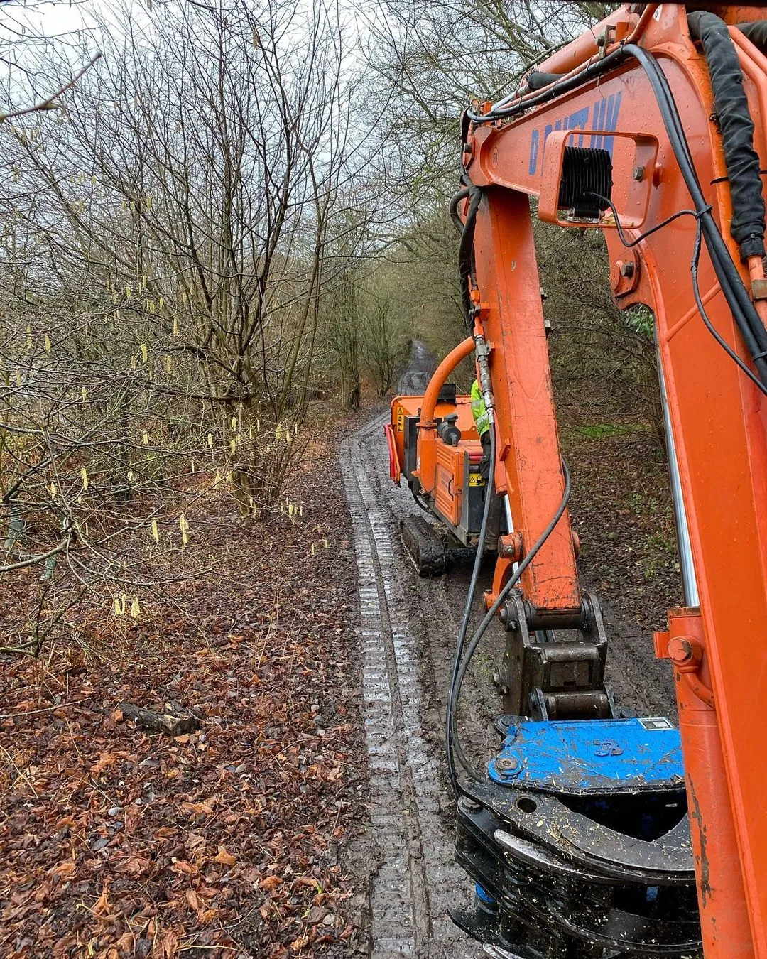 BC160 Excavator Forestry Grab - 4-6 Tonne