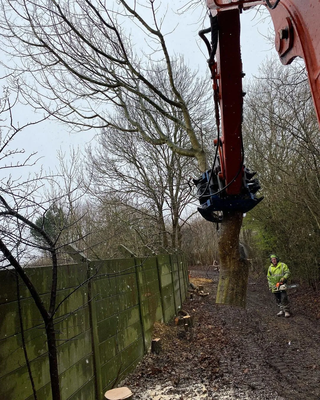 BC160 Excavator Forestry Grab - 4-6 Tonne