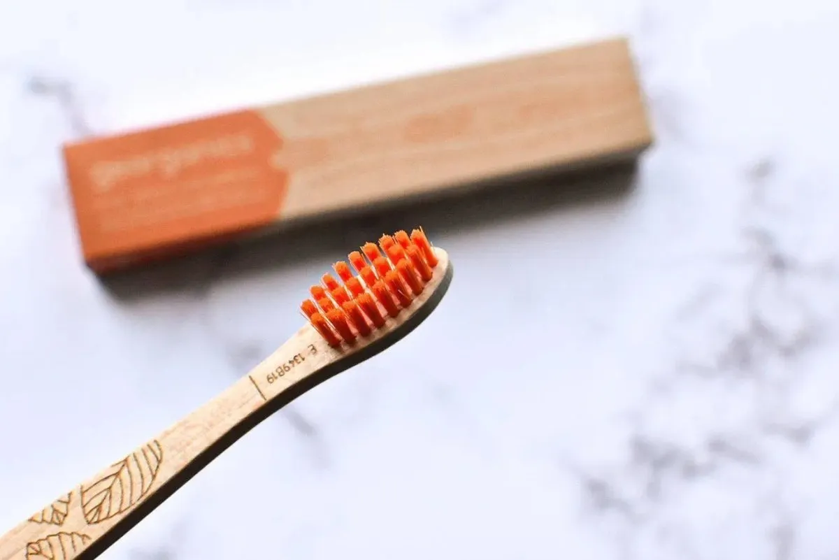 Beechwood Toothbrush