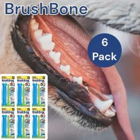 BrushBone - Dog Toothbrush Bone - 6 Pack