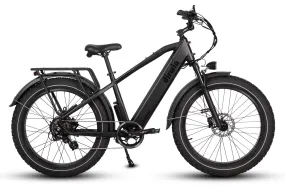 Dirwin 750W Pioneer Fat Tire Electric Bike