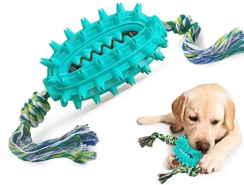 Dog Toothbrush Cactus Chew Toy for Aggressive Chewers Durable Rubber with Rope