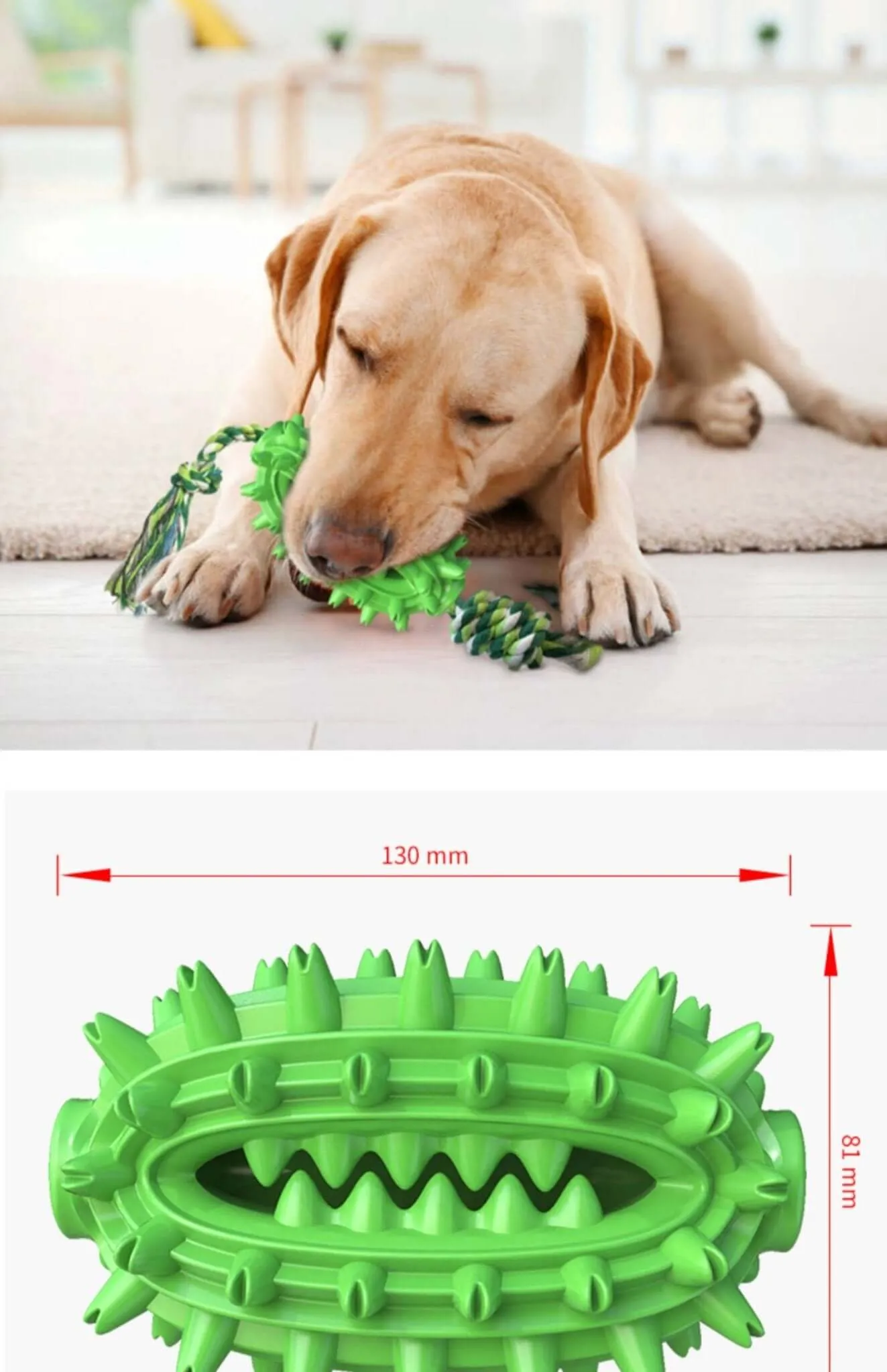 Dog Toothbrush Cactus Chew Toy for Aggressive Chewers Durable Rubber with Rope