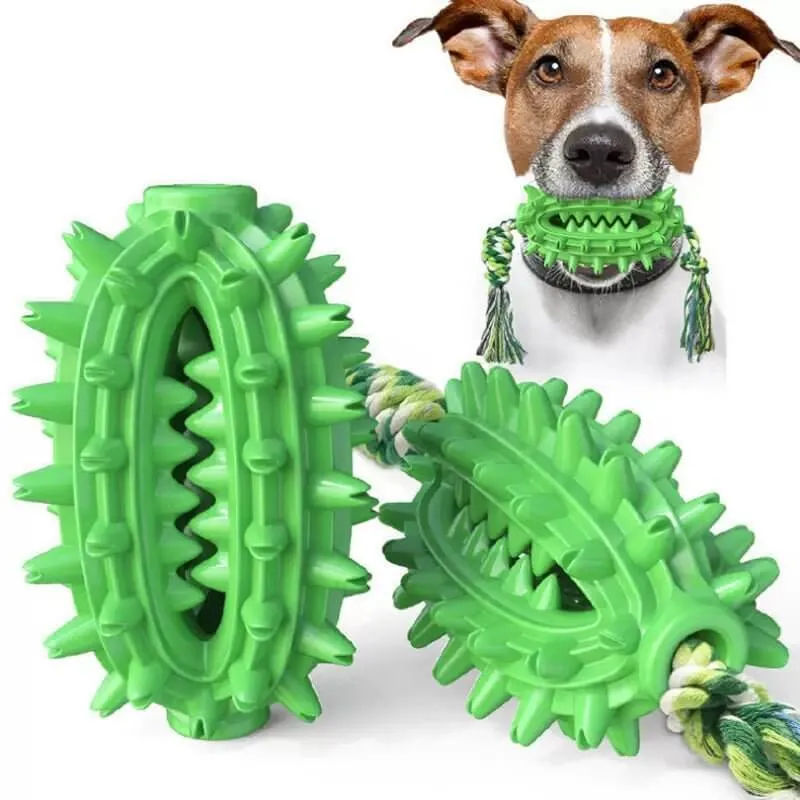 Dog Toothbrush Cactus Chew Toy for Aggressive Chewers Durable Rubber with Rope