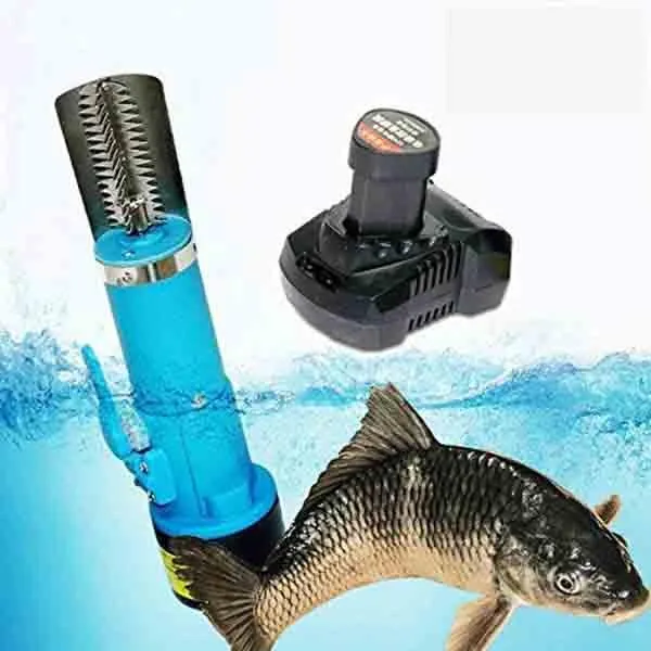 Electric Fish Skin Scaler