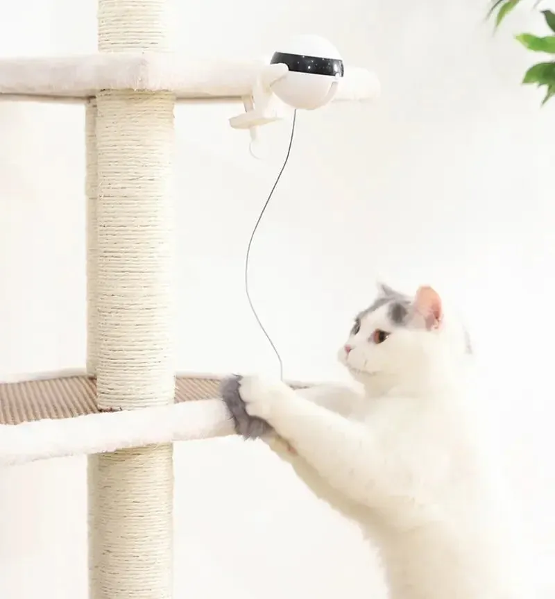 Interactive Electric Cat Toy with Rotating Ball and Flutter Features