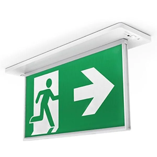 Lynk Razor Pro Recessed Emergency Exit 24M w/ Wireless in Black or White