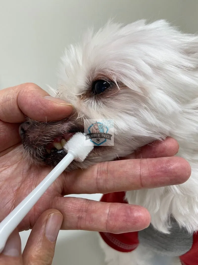 Mind Up Kenko Care Toothbrush Cylinder Head for Dogs