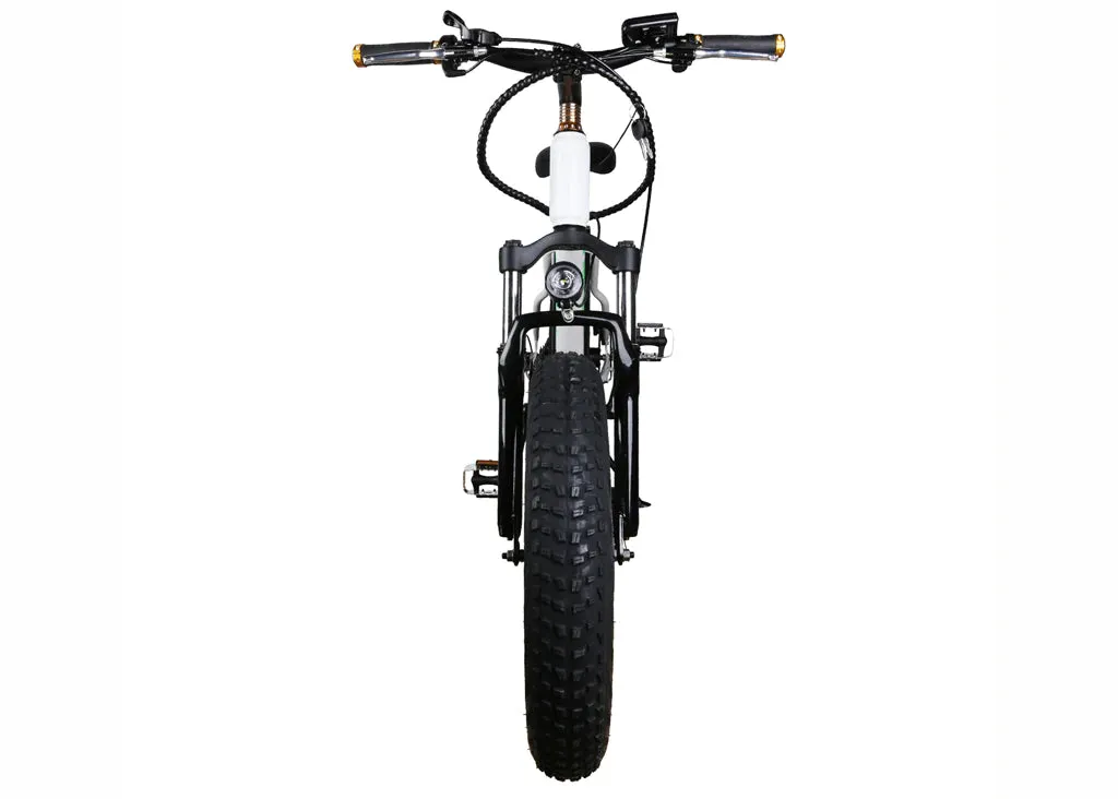 Nakto 300W Mini Cruiser Fat Tire Electric Bike