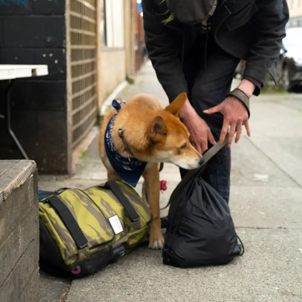 Pet Food Bank visit