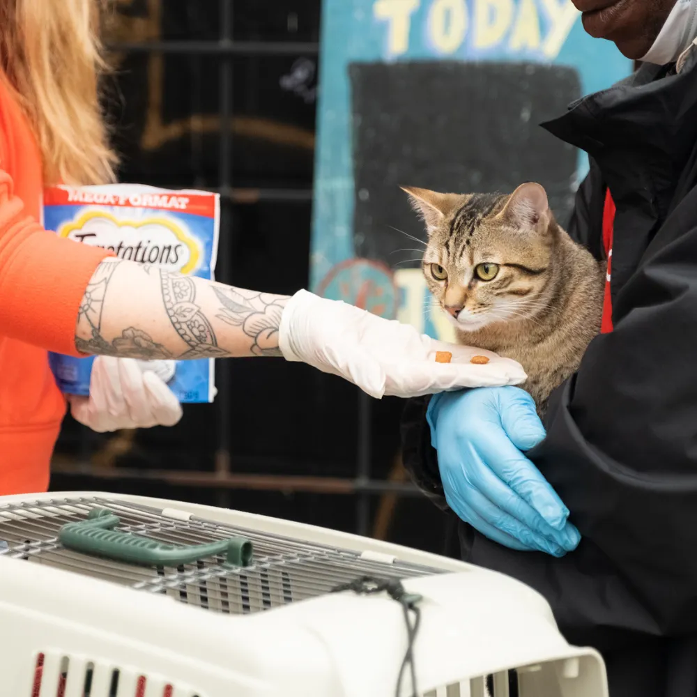 Pet Food Bank visit