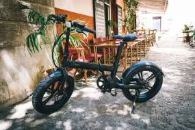 Qualisports Beluga 48V 500W Folding E-Bike