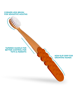 Radius Totz Plus Brush 3 