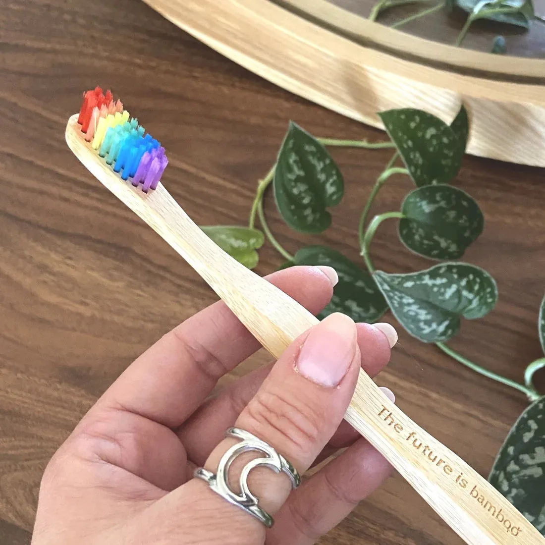 The Future is Bamboo - Rainbow Adult Bamboo Toothbrush