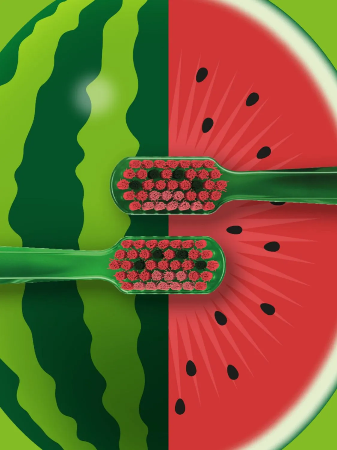 Watermelon Limited Edition DUO Toothbrush