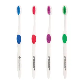 Winter Accent Toothbrush